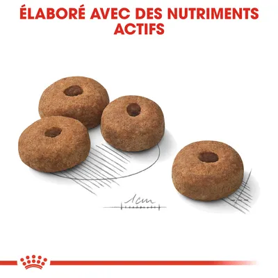 Croquettes rondes avec trou central, diamètre indiqué 1 cm. Texte en haut : « Élaboré avec des nutriments actifs ».