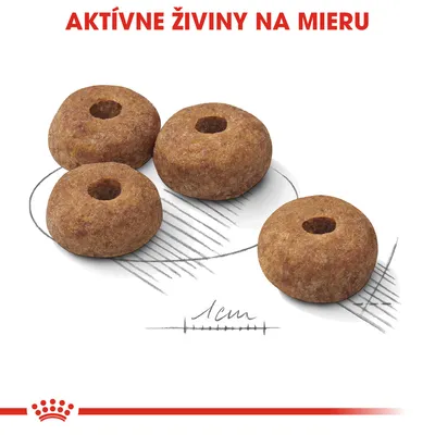 Štyri granule s otvorom uprostred, priemer 1 cm. Text: AKTÍVNE ŽIVINY NA MIERU. Značka Royal Canin viditeľná v dolnej časti.