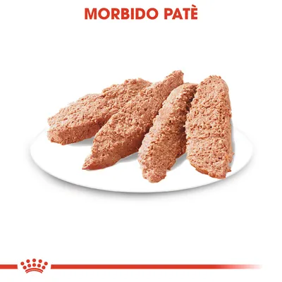 Fette di morbido patè su piatto bianco, testo visibile: MORBIDO PATÈ. Consistenza compatta e omogenea.