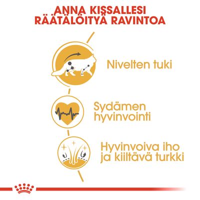 Anna kissallesi räätälöityä ravintoa. Nivelten tuki, sydämen hyvinvointi, hyvinvoiva iho ja kiiltävä turkki. Teksti ja symbolit näkyvissä kuvassa.