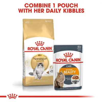 Instructional image showing Royal Canin dry food and wet pouch with text: Combine 1 pouch with her daily kibbles.