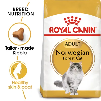 Breed nutrition with tailor-made kibble and healthy skin and coat benefits for adult Norwegian Forest Cat, shown on Royal Canin packaging.
