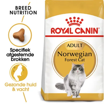 Royal Canin Adult Norwegian Forest Cat kattenvoer, tekst: Specifiek afgestemde brokken, Gezonde huid & vacht, afbeelding van een Noorse Boskat en brokvorm zichtbaar.