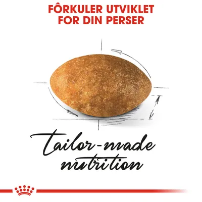 Royal Canin Persian Adult 