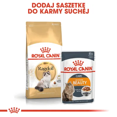 ROYAL CANIN Ragdoll Adult karma sucha oraz ROYAL CANIN Intense Beauty Care saszetka 85 g. Napis: Dodaj saszetkę do karmy suchej.