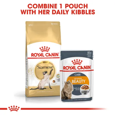Instructional image showing Royal Canin Siamese dry food and Intense Beauty wet pouch with text: Combine 1 pouch with her daily kibbles.