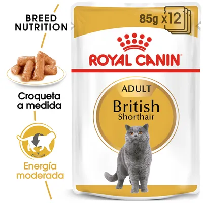 Royal Canin Adult British Shorthair, 85 g x12. Croqueta a medida, energía moderada. Imagen de gato gris y croquetas en plato. Texto en inglés: Breed Nutrition.