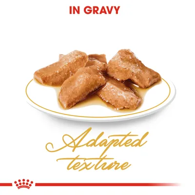 Royal Canin Maine Coon Adult in Gravy - cat wet food - Saver Pack: 24 x 85g