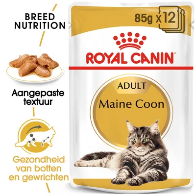 Royal Canin Adult Maine Coon, 85g x12. Aangepaste textuur. Gezondheid van botten en gewrichten. Afbeelding van een Maine Coon kat en natvoerbrokjes op een bord.