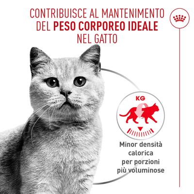 Royal Canin Light Weight Care AirLift Mousse