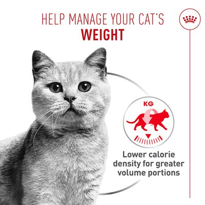 Royal Canin Light Weight Care AirLift™ Mousse - wet cat food