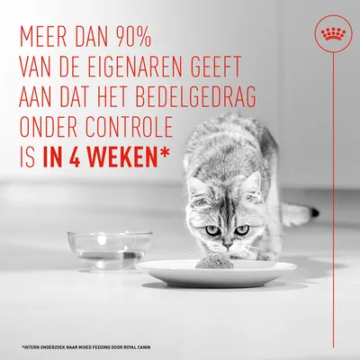 Royal Canin Appetite Control Care AirLift Mousse - Voordeelpak: 24 x 85 g