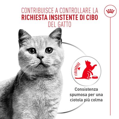 Royal Canin Appetite Control Care AirLift Mousse