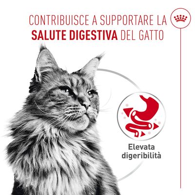 Royal Canin Digestive Care AirLift Mousse - 24 x 85 g
