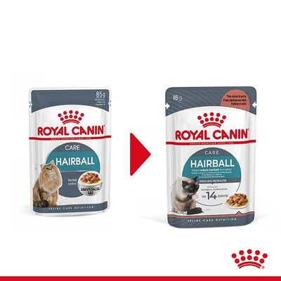 Сравнение на стара и нова опаковка Royal Canin Hairball Care 85 г за котки. Видими са продуктови имена, снимки на котки и храна, текст: 'Helps reduce hairball formation', 'PROVEN RESULTS'.