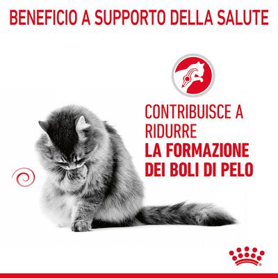 Beneficio a supporto della salute. Contribuisce a ridurre la formazione dei boli di pelo.