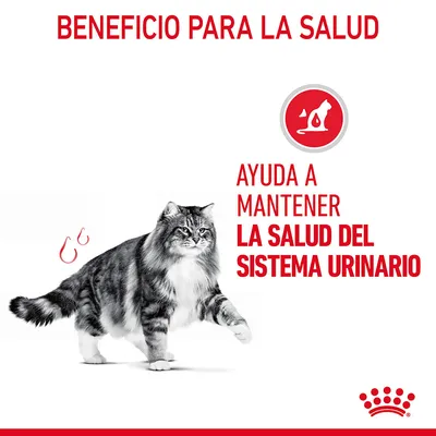 Beneficio para la salud. Ayuda a mantener la salud del sistema urinario. Imagen de un gato y símbolo relacionado con el sistema urinario. Texto en español.