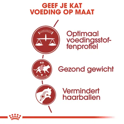 Geef je kat voeding op maat: Optimaal voedingsstoffenprofiel, gezond gewicht, vermindert haarballen. Drie rode iconen met bijbehorende tekst in het Nederlands.