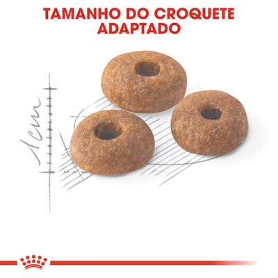 Três croquetes de ração com texto 'TAMANHO DO CROQUETE ADAPTADO' e escala desenhada a indicar 1 cm de diâmetro.