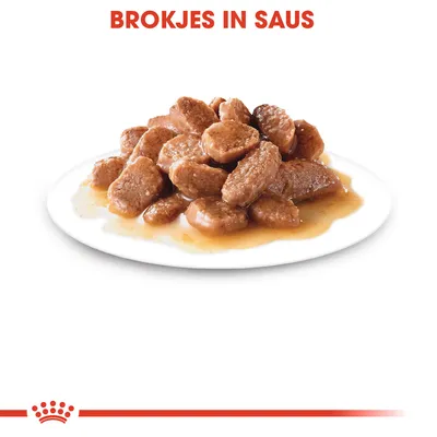 Brokjes in saus op een wit bord, tekst bovenaan: 'BROKJES IN SAUS'.