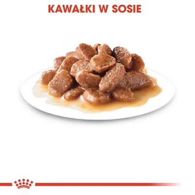 Kawałki w sosie na białym talerzu, widoczne brązowe kawałki karmy mokrej. Tekst: KAWAŁKI W SOSIE.