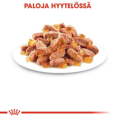 Paloja hyytelössä -teksti, lautasella ruskeita lihapaloja ja kirkasta hyytelöä. Alareunassa punainen kruunu-symboli.