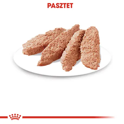 Cztery kawałki pasztetu na białym talerzu, nad nimi czerwony napis PASZTET.
