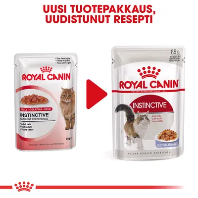 Royal Canin Instinctive hyytelössä - 48 x 85 g