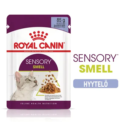 ROYAL CANIN SENSORY SMELL hyytelö, 85 g. Kissalle suunnattu märkäruoka annospussissa. Pakkauksessa kuva kissasta ja ruoka-annoksesta. Teksti: SENSORY SMELL, HYYTELÖ.