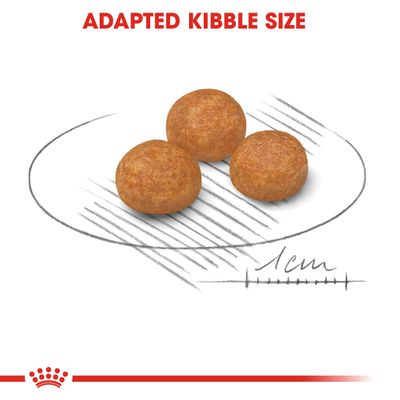 Три круглые гранулы корма, диаметр каждой около 1 см. Надпись на английском: ADAPTED KIBBLE SIZE.