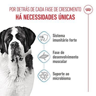 Royal Canin Giant Junior