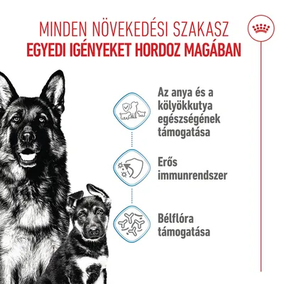 Royal Canin Maxi Starter Mother & Babydog - 15 kg