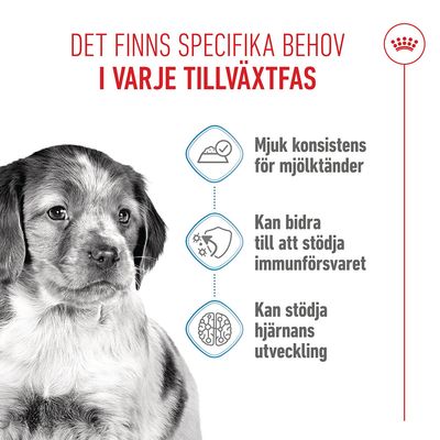 Royal Canin Medium Puppy i sås - 10 x 140 g