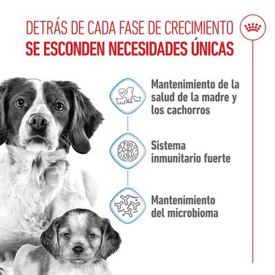 Royal Canin Medium Starter Mother & Babydog