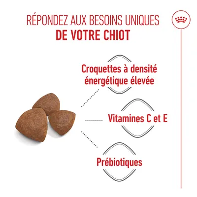 Croquettes à haute densité énergétique, vitamine C et E ainsi que des prébiotiques. Texte : Répondez aux besoins uniques de votre chiot.