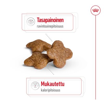 Kolme ruskeaa koiranruokanappulaa, tekstit: Tasapainoinen ravintoainepitoisuus, Mukautettu kaloripitoisuus