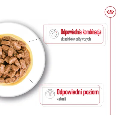 Odpowiednia kombinacja składników odżywczych. Odpowiedni poziom kalorii.