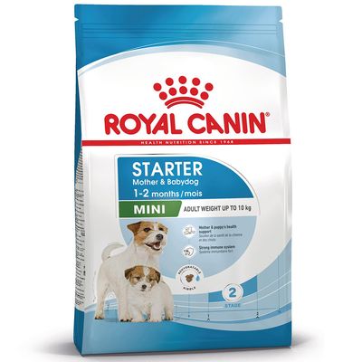 Royal Canin Mini Starter Mother & Babydog Crocchette per cane