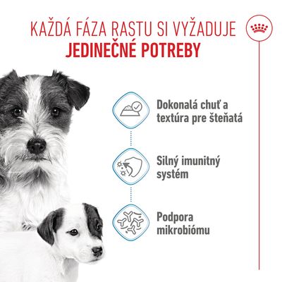 Royal Canin Starter Mother & Babydog Ultra Soft Mousse