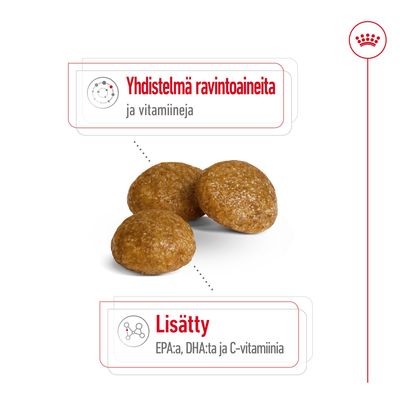 Kolme ruskeaa nappulaa, teksti: Yhdistelmä ravintoaineita ja vitamiineja. Lisätty EPA:ta, DHA:ta ja C-vitamiinia.