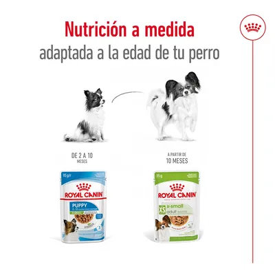 Royal Canin Puppy X-Small 2–10 meses y Royal Canin XS Adult a partir de 10 meses. Nutrición a medida adaptada a la edad de tu perro. Imagen de dos perros y envases visibles.