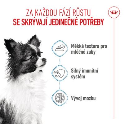 Grafika se psem a třemi body: měkká textura pro mléčné zuby, silný imunitní systém, vývoj mozku. Text v češtině.