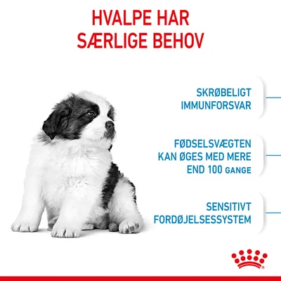 HVALPE HAR SÆRLIGE BEHOV. SKRØBELIGT IMMUNFORSVAR. FØDSELSVÆGTEN KAN ØGES MED MERE END 100 GANGE. SENSITIVT FORDØJELSESSYSTEM.