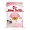 Royal Canin Kitten en gelatina 12 x 85 g