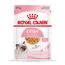Royal Canin Kitten w galarecie 12 x 85 g