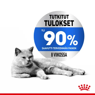 Tutkitut tulokset: yli 90 % saavutti terveemmän painon 8 viikossa