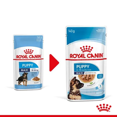 Промяна на опаковката: Royal Canin Puppy Maxi 140 г, за кученца с тегло 26–44 кг. Новата опаковка показва възраст 2–15 месеца и надпис 'NO PRESERVATIVES'.