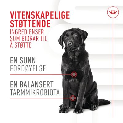 Royal Canin Digestion Adult Chews kosttilskudd