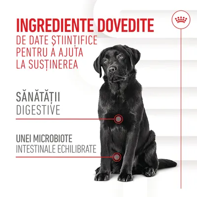 INGREDIENTE DOVEDITE de date științifice pentru a ajuta la susținerea sănătății digestive și unei microbiote intestinale echilibrate. Text în limba română.