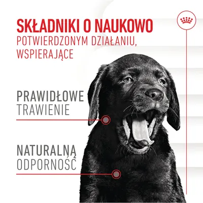 Składniki o naukowo potwierdzonym działaniu, wspierające prawidłowe trawienie i naturalną odporność. Obok czarny pies z otwartym pyskiem.